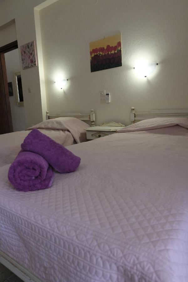 Taxiarchis Apartments Skiathos Town Exterior photo