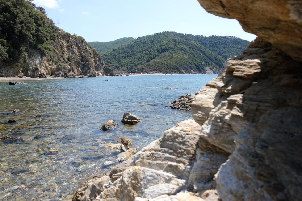 Taxiarchis Apartments Skiathos Town Exterior photo